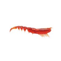 STORM 360 GT Tea Shrimp 8 pCSPU03-RTB