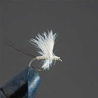 VALLEY HILL Complete Dry Fly D3 CDC Solax Dan CR