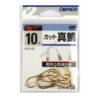 OWNER Katto Shindai #10