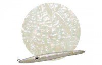 AWABI HONPO Abalone Sheet Takase Shell Natural