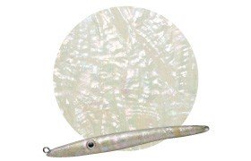AWABI HONPO Abalone Sheet Takase Shell Natural