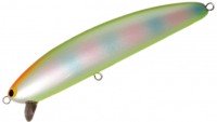 POZIDRIVE GARAGE Spank Walker 133F # 10 Chart Back Rainbow