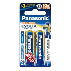 PANASONIC LR6EJ/2BN Evolta Alkaline Battery