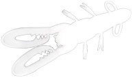 ECLIPSE Punching Shrimp 2.5" 2.6g #13 Solid White