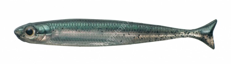 FISH ARROW Flash-J Huddle 3 #03