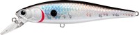 LUCKY CRAFT Pointer 100SP #MS Natural Sucker