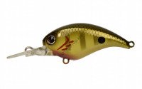 DSTYLE Crawl Up CHART GILL