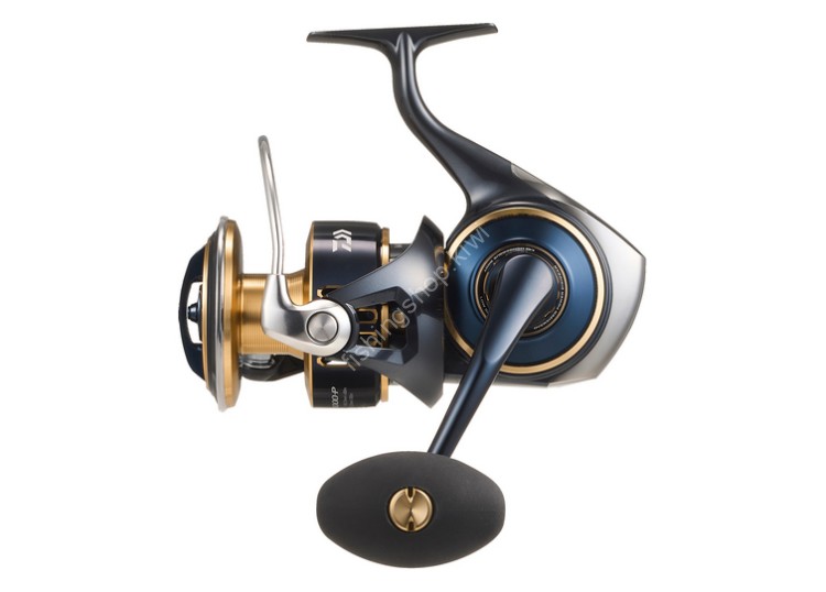 DAIWA 25 Saltiga 14000-P