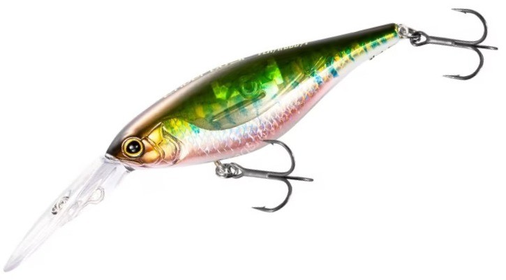 SHIMANO ZQ-F60W Bantam Enber 60SP Flash Boost #002 S Oikawa