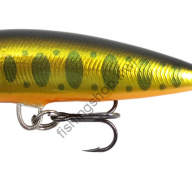 Rapala KBN CD7/J Minnow Countdown Japan Special Color 2.8 inches (7 cm),  0.3 oz (8 g), Silver-Stripe Herring Lure : : Sports & Outdoors