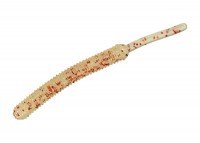 SMITH Screw Tail Grab 1.5" #GF820 Glow Jrange Glitter