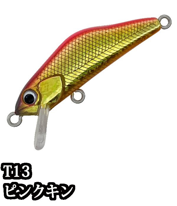 IVYLINE T-Gravits 36S T13