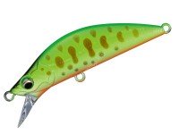 MAJOR CRAFT Eden 45SS # 012 Chart Yamame