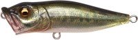 MEGABASS Popx FA #Bass