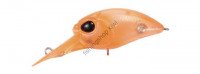 VALKEIN Horizard Wi C001 Partridge Orange
