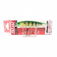 DUEL 3DR Minnow SP70 RPC