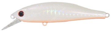 MARIA Tight Slalom 80 # S06P Pearl Orange