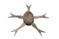 JACKALL Jimmy Henge 42 Power Salt #Kuwase Shrimp