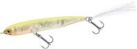 DAIWA RayBreeze 53F #Chart Back