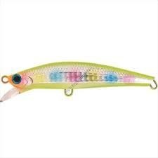 JACKSON Pin Tail Spanish mackerel tune 35g CCN chart CND