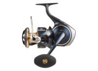 DAIWA 25 Saltiga 8000-H