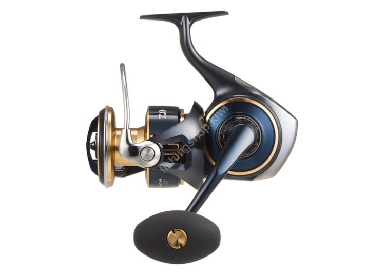 DAIWA 25 Saltiga 8000-H