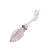 LUMICA C00185 Puniika 3 inch Keimura Pink