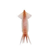 GEECRACK Ika No Suke TG Spare Worm No.20 #001 Real Ika
