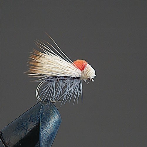 VALLEY HILL Complete Dry Fly D6 Elk Hair Cadis GR