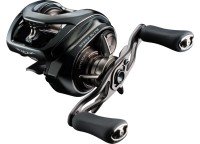 DAIWA 24 Steez SV TW 100L