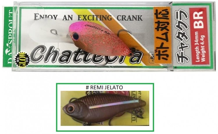 DAYSPROUT ChatteCra BR # Remi Jelato
