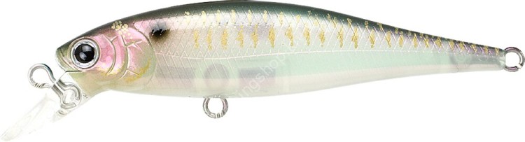 LUCKY CRAFT Pointer 65SP #Live Pearl Shad