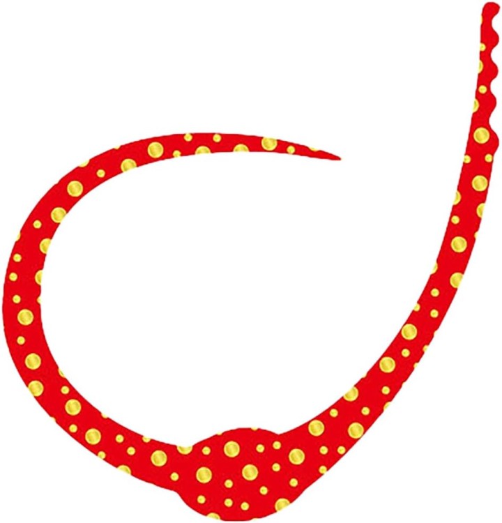 SASA LABO KCSC-01 King Cobra Single Curly #01 Red Gold Dot