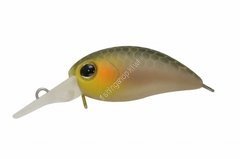 TIMON Chibi PaniCra DR # Shizuoka beauty