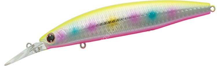 DAIWA Shore Line Shiner Z Set Upper 97S-DR #Fuyajo