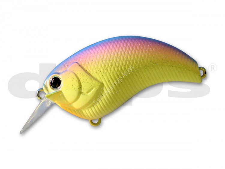 DEPS Evoke 1.2 09 Rainbow