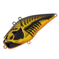VALLEY HILL Giganoto TG Rattle #21 Gold Bone