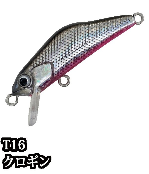 IVYLINE T-Gravits 36S T16