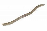 JACKALL Flick Shake 5.8in Tenaga blue flakes