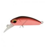VALKEIN Kuga M107 n carrot