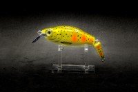 CALYPSO 2AC10GRSS LTYR