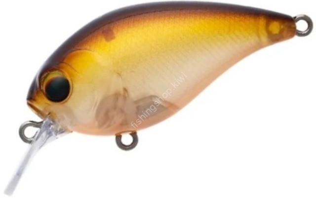 PAY FORWARD One Eight SR #016 Horizon Shad