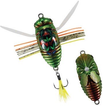 DUO Realis KoShinMushi #CCC3218 AkaSuji KinKame