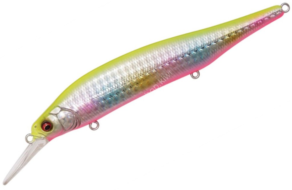 MEGABASS X-80 Magnum+1 #GG Chart Back Rainbow Lures buy at 