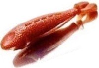 LAYSAM Namekuji Worm 2.7" #95 Kōkaku-rui