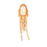 LUMICA C00251 Puni-Rubber TG Replacement Ika Suit #UV-Orange