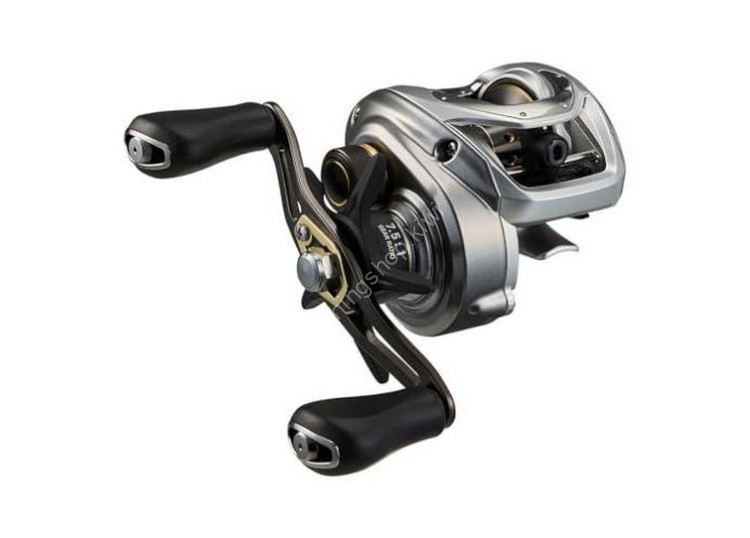 DAIWA 24 Baas X 100HL