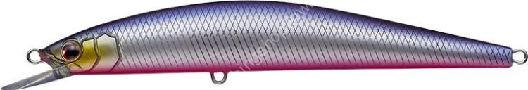 EVERGREEN Wide Seeker #858 Katakuchi Pink Belly