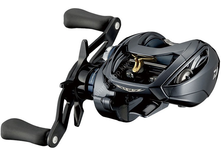 DAIWA Steez A TW HLC 6.3R Reels buy at Fishingshop.kiwi