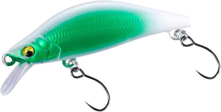 SHIMANO Cardiff Ref42S ZN-142Y 010 Terrestrial